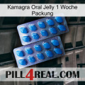 Kamagra Oral Jelly 1 Week Pack viagra2